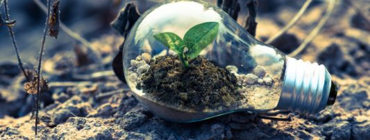 Czechs want to protect environment – but can’t agree on how