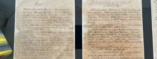 “Švejk is incredibly topical today”: Manuscript of classic shown in Prague