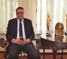 H.E. Mahmoud Mostafa Afifi