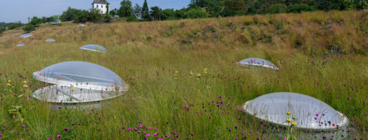 THE GREEN ROOF AT THE DJ RESERVATION WON!