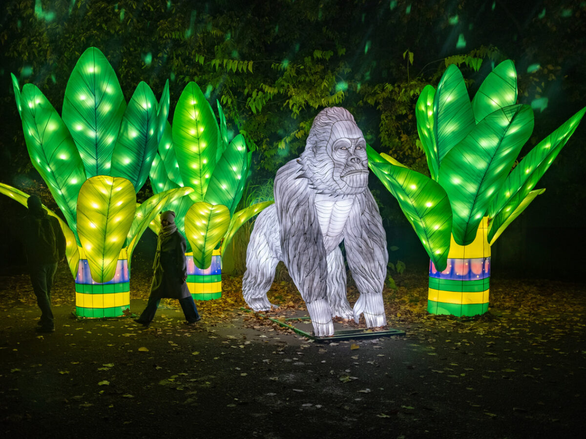 オブジェ　zoo Foto-