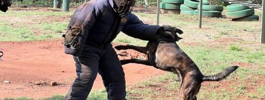 Rwanda – Here we come