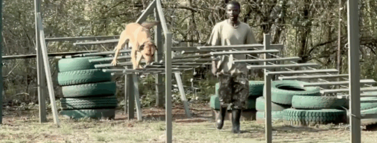 Rwanda – Here we come