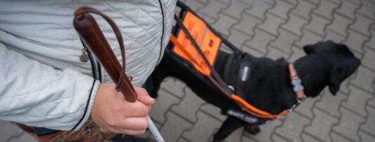 Making government websites accessible for people with disabilities in Czechia