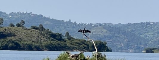 Rwanda – Here we come