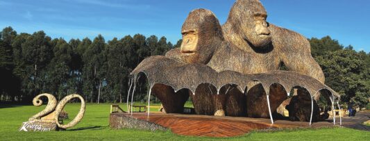 Visit Beautiful Rwanda