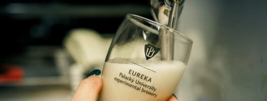 Non-alcoholic beer: A healthy sip of the golden brew in Dry February