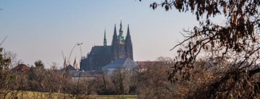 Prague Castle research reveals hidden wilderness