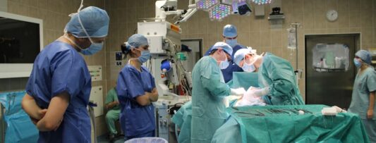 One surgery instead of two? Czech scientists develop dissolving implants
