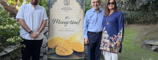 Pakistan Mango Summer Party