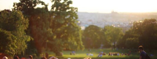 Can trees keep Prague cool as temperatures rise?
