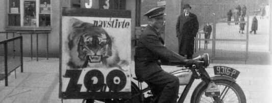 THE PRAGUE ZOO CELEBRATES ITS 95TH ANNIVERSARY