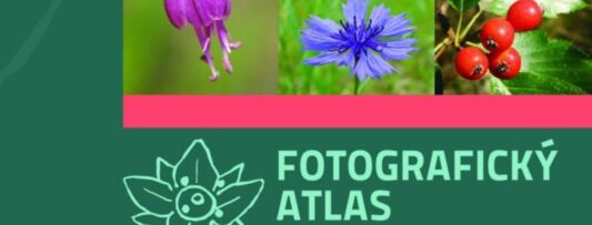 Professionals and amateurs join forces to photograph Czechia’s entire flora in 10,000 pics