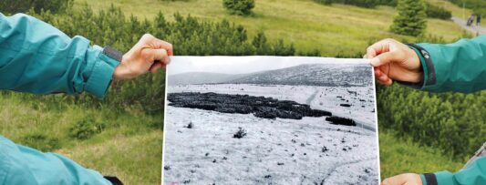 Climate change threatens rare Krkonoše mountain tundra