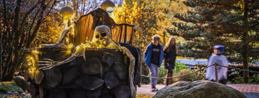 Spooky Zoo in Liberec gets visitors in the mood for Halloween and All Souls’ Day
