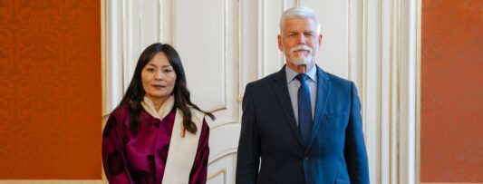 The President of the Republic received new ambassadors