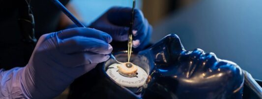 Pigs’ eyes, real skills: surgeons practise with cutting-edge technology in Prague